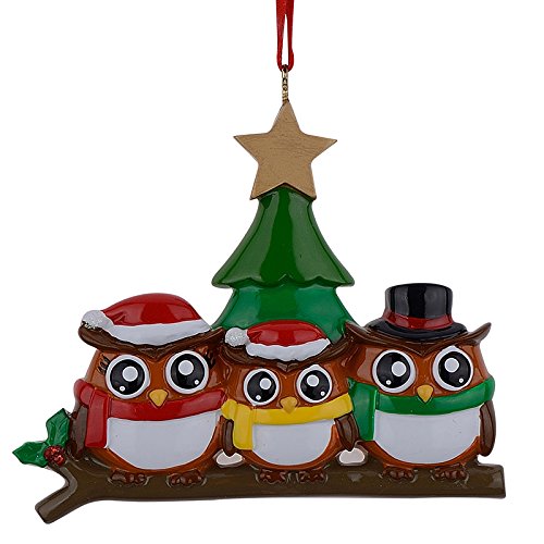 Personalized Owl Family Of 3 Christmas Ornament - Cute Owl Family Ornament - Polyresin Owl Christmas Tree Decor - Durable Christmas Family Keepsake Ornament #TOP13