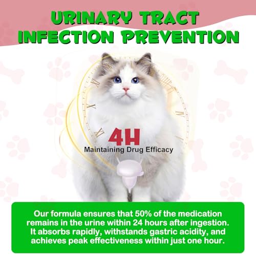 Katzenflüssigkeit für Harnwege, Nahrungsergänzungsmittel für die Gesundheit der Harnwege, hilft bei Nierensteinen, Blasenstütze – Behandlung von Harnwegsinfektionen – reduziert Harnwegsinfektionen,