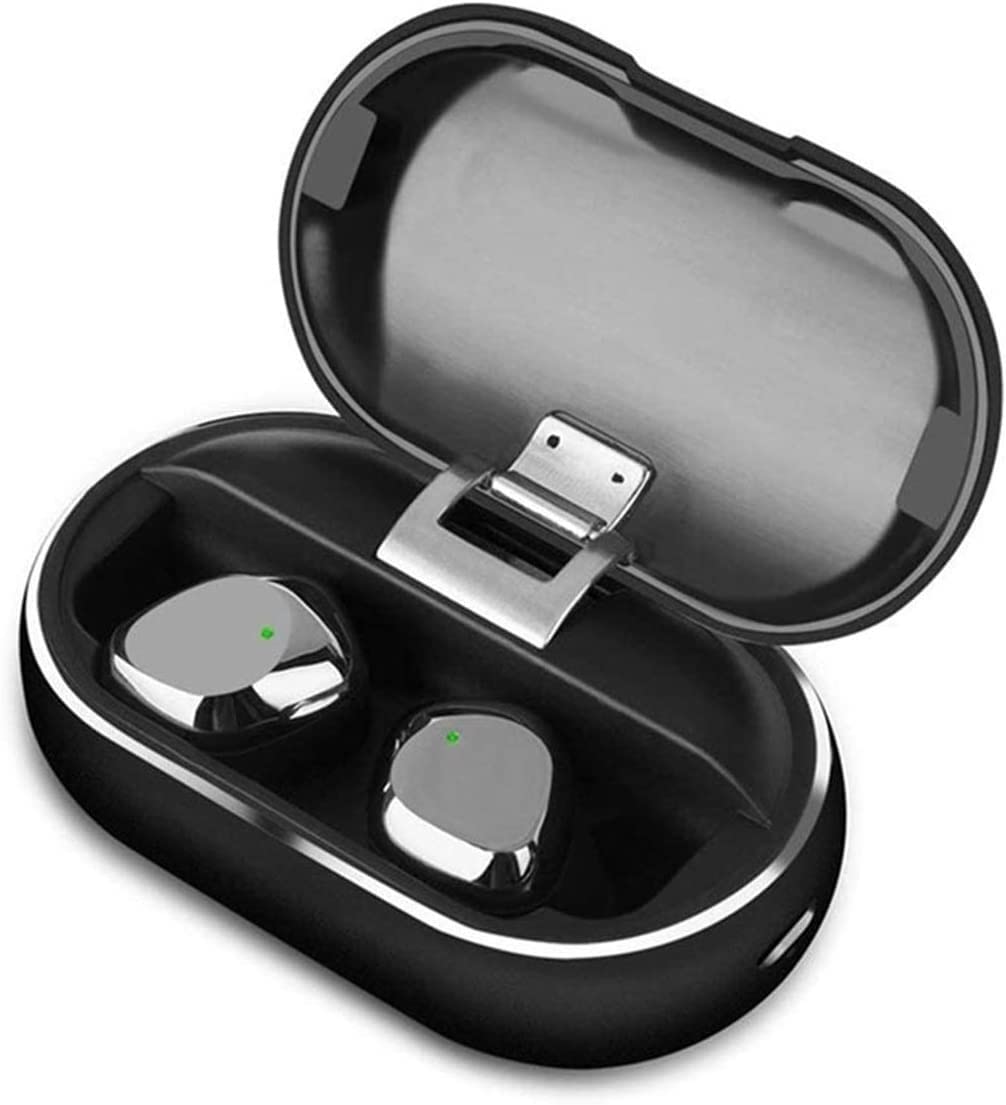 ARTSZY Auricolari Wireless Bluetooth 5.0 Auricolari in-Ear con Custodia Stereo di Ricarica e microfoni integrati /IPX5 A Prova di Sudore/per Palestra di Allenamento Sportivo