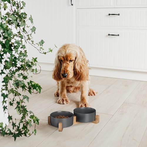 Relaxdays Hunde Napfbar Keramik, 850 ml, Futter & Wasser, Futternapf mit Bambus-Gestell, HxBxT: 9 x 32 x 17 cm, weiß