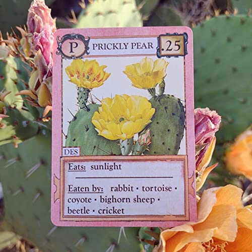 Montrose Biology Ecologies Card Game - Use Science To Build Food Webs In 7 Biomes - Beautiful Vintage Nature Art For The Classroom Or Game Night #TOP7