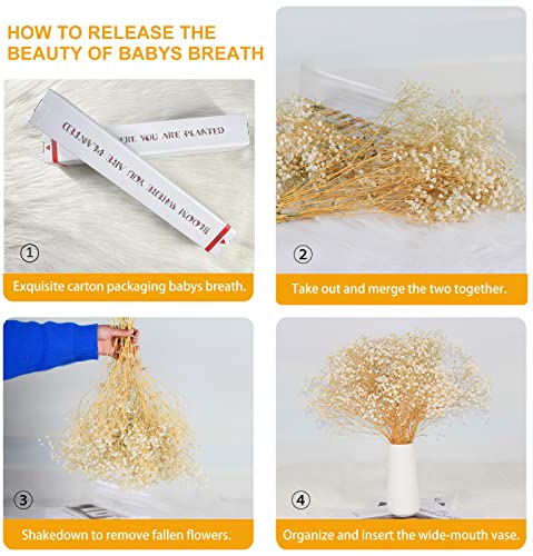 Dried-Babys-Breath-Flowers-Bouquet-17 Inch 2500+ Ivory White Flowers, Natural Gypsophila Branches For Wedding, Diy Home Party Decor, Table Vase Decor For Parents, Friend, Children (3Oz) #TOP3