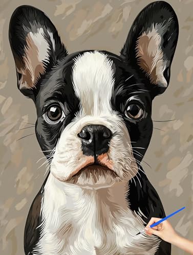 G  hG  Paint by Numbers io[yCg q S DIY Cheerful Painting H| |ph ANLbg l̂߂̃NGCeBuȎ av[g z[ ItBX̕Ǒ