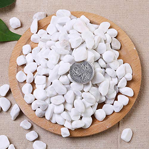 Image of WAYBER 2 Lb /920g White Stones Decorative Pebble Rock Sand for Aquarium /Fish Turtle Tank /Vase Filler /Succulent Plants Decoration (Fill 2 Cups)