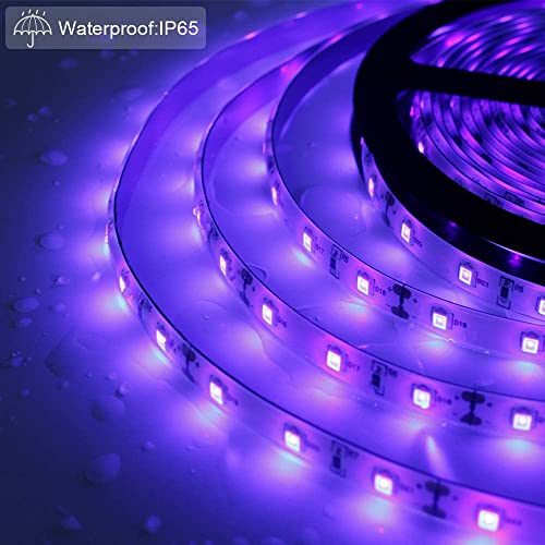 Vbakor 12V 16.4Ft Marine Boat Ultra Violet Uv Black Light Led Lights Strip, Night Fishing Lights, 5050 Led Waterproof Uv Led Strip With Extension Cable For Fishing Boat Pontoon Yacht #TOP2
