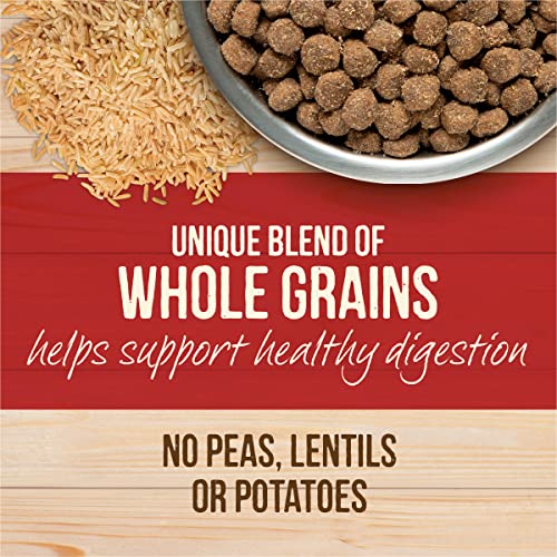 Merrick Healthy Grains Freeze Dried Raw Coated Kibble Dry Dog Food Real Beef And Brown Rice Recipe - 22 Lb Bag #TOP5