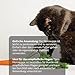 Tjure Morosche Karottensuppe für Hund & Katze | 6 x 320 ml | Schonkost für Hunde bei Durchfall | Zur Ergänzung der Fütterung in besonderen Phasen | Ohne Zusatzstoffe | Made in Germany