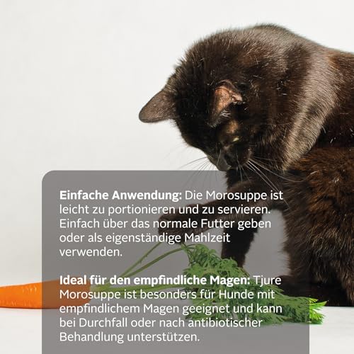 Tjure Morosche Karottensuppe Hund & Katze | 6 x 320 ml | Ergänzungsfuttermittel auf Karottenbasis | Zur Ergänzung der Fütterung in besonderen Phasen | Ohne Zusatzstoffe