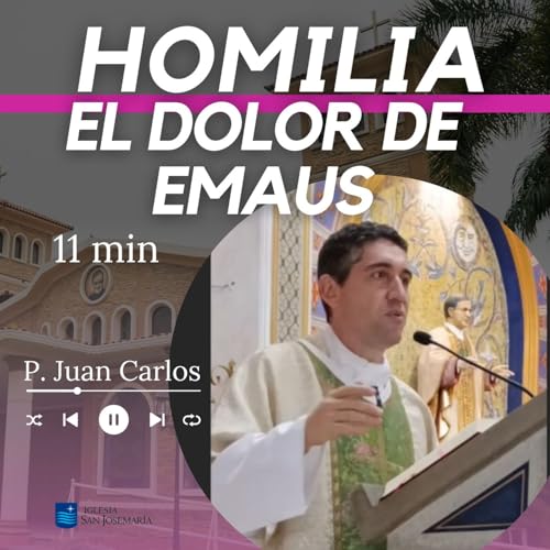 HOMILIA: Cristo camina con nosotros en el dolor (11 min)