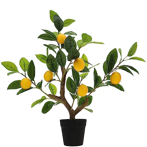 Gresorth 51cm Künstliche Gelb Zitrone Bäume Gefälschte Household Grün Pflanzen Früchte Dekoration mit Kunststoff Eingetopft Realistisch Blätter für Wohnaccessoires Tabelle Büro Garten Innenbereich
