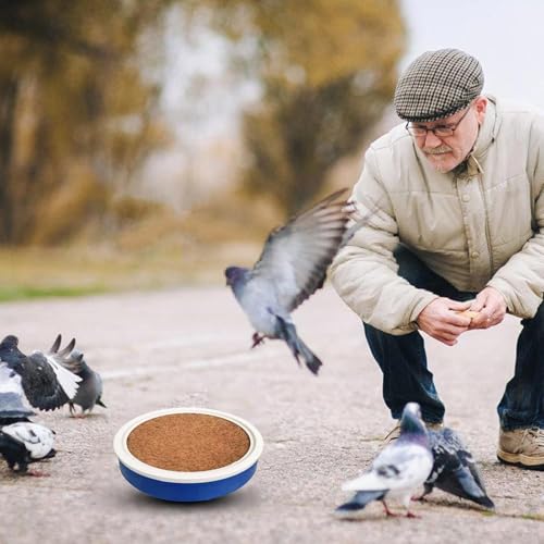 Nid d'oiseau pour pigeons voyageurs et petits oiseaux de ponte