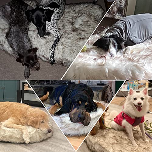 Laifug Luxury Faux Fur Dog Bed，5-inch Thick Grade Ultra Soft Memory Foam Dog Bed with Faux Fur Cover, Plush Orthopedic Dog Bed with Removable Cover，Waterproof Liner（Gray-Brown，White） - Thumbnail 5
