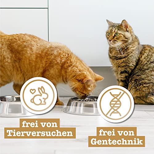catz finefood Meatz Katzen Leckerlies Ente N° 7 - knusprig gegrillte Streifen aus Entenfleisch - mit Aloe Vera für die Darmflora - Katzensnack ohne Zucker, getreidefrei, 45g