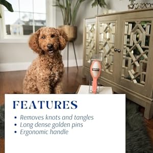 Pet-Grooming-Detangler-Pin-Dog-Brush-For-Shedding-and-Removing-Loose-Fur-Premium-Lightweight-Wood-with-Gold-Plated-Pins-for-Long-Hair-Pin-Brush-for-Dogs - Cucciolini Doodles Pet-Grooming-Detangler-Pin-Dog-Brush-For-Shedding-and-Removing-Loose-Fur-Premium-Lightweight-Wood-with-Gold-Plated-Pins-for-Long-Hair-Pin-Brush-for-Dogs