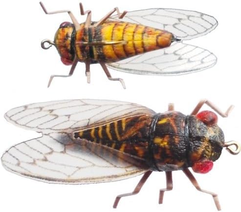 SythFly Cicada Fishing Flies Multi-Pack (Size 4, 3-Pack)