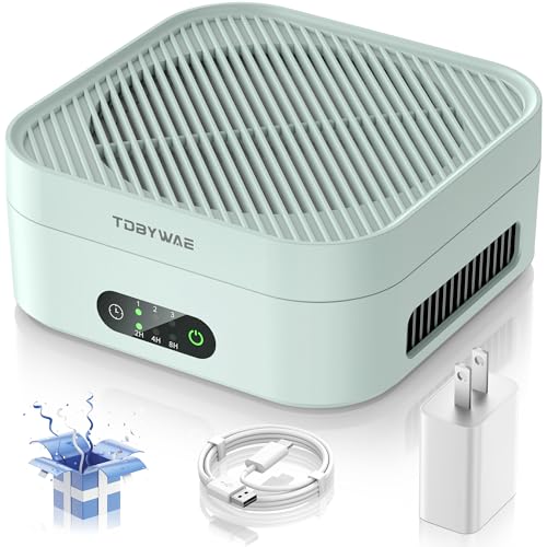 TDBYWAE H13 True HEPA Purifier