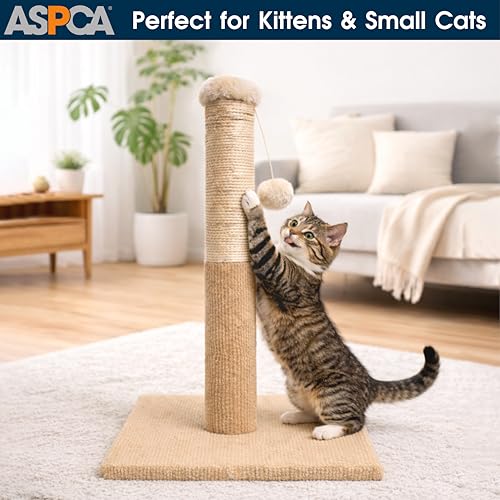Arbre à chat ASPCA contre les griffures de canapé - 3