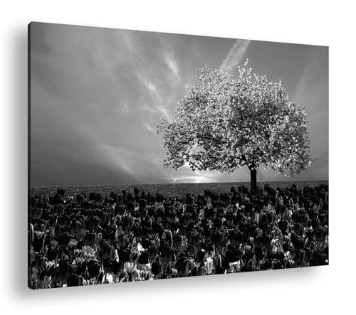Cerisier dans un champ de tulipes deyoli décoration salon tableau noir et blanc 90x60