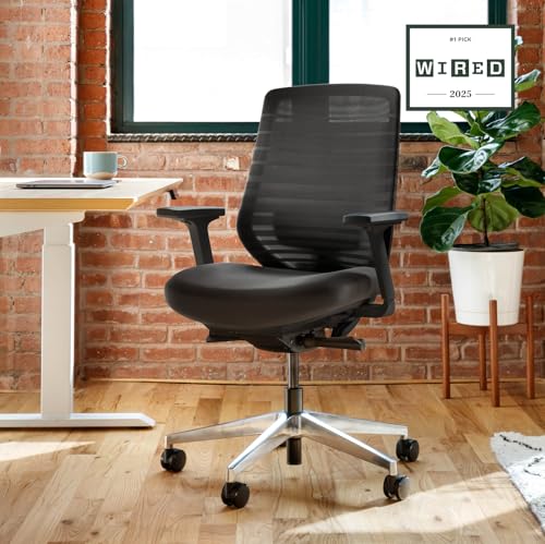 Image of Branch Ergonomic Chair, Versatile Desk Chair with Adjustable Lumbar Support | Breathable Mesh Backrest and Smooth Wheels, Experience Optimal Comfort and Support, All Black