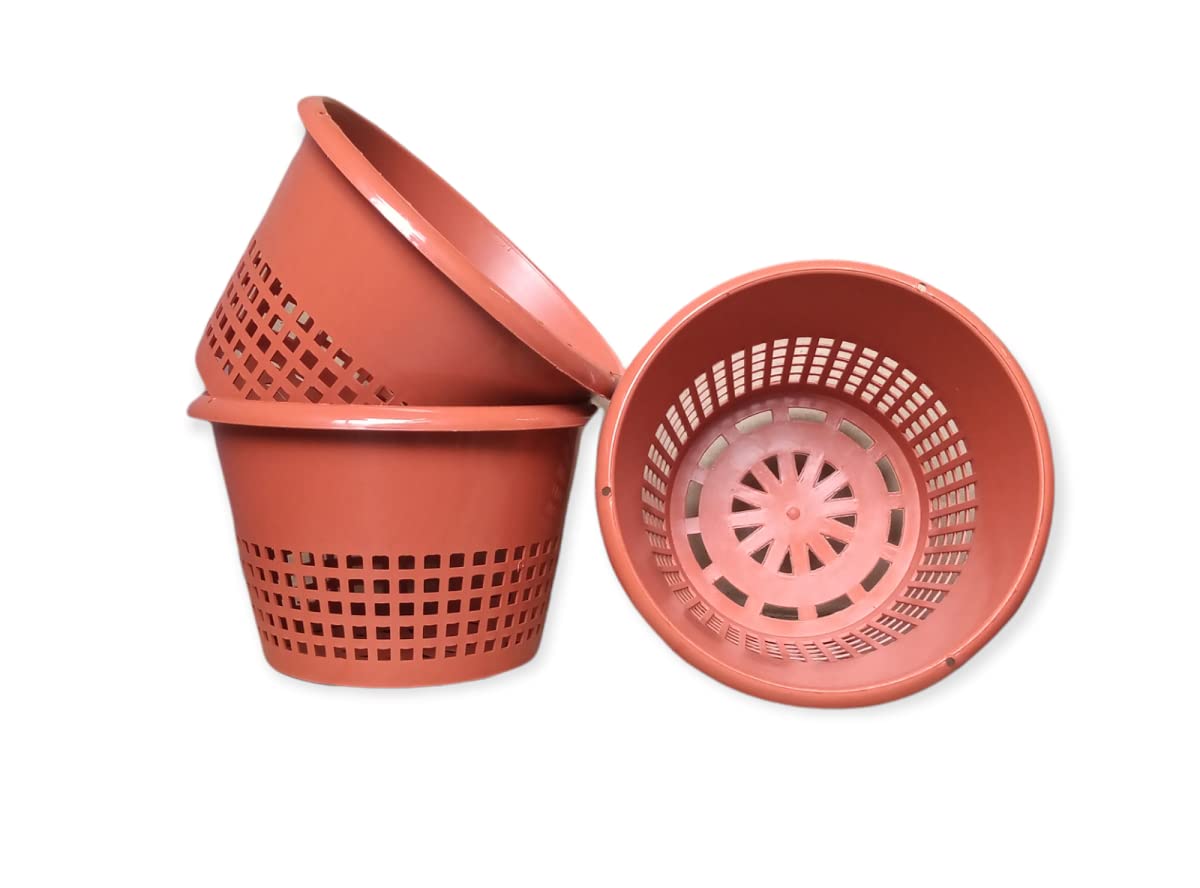 Orchid Pot/Hydroponic Plastic Pot 8-Inch, Brown (Set of 3 Pcs) TT Traders (B085VHTP1Q) Amazon Price History, Amazon Price Tracker