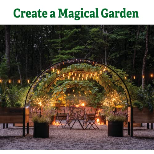 Gardener’s Supply Company Arch Trellis | Garden Arbor fits 2' x 8' Elevated Planter Boxes for Climbing Plants, Vegetables and Flowers | Decorative Outdoor Gardening Landscape