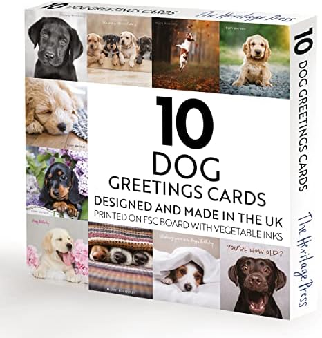 Dogs Greeting Cards assorted pack | eco friendly | handpacked in the UK | Dog and puppy Birthday Card Multipack | Dog Birthday Greetings Cards | Birthday Card Dog | Puppies puppy cute