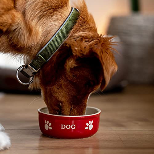 Nobby Hunde Keramiknapf Dog, rot/beige 12 X 12 X 3,7 cm, 1 Stück