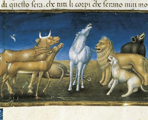 Tableau Les étoiles tomberont du ciel Cristoforo De Predis pour la décoration murale du salon