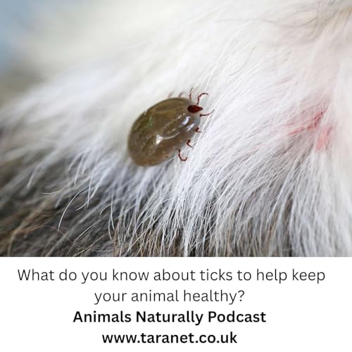 Do You This About Ticks For Your Animal's Health?
