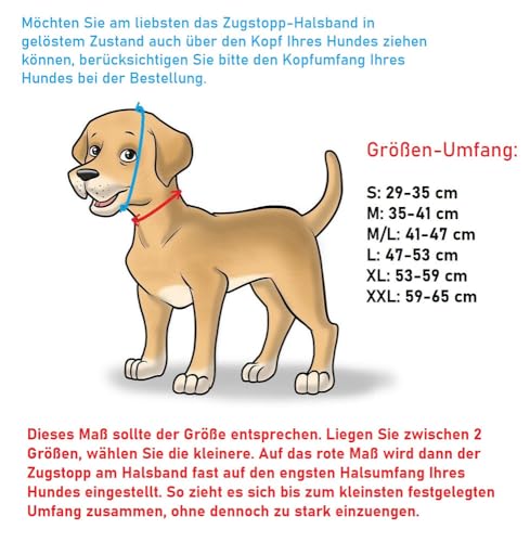 PS Pferdeartikel Flaches Hundehalsband aus Leder mit Zugstopp - Nappaleder gepolstert Größe M/L Cognac-Hazelnut