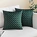 EMEMA Lot de 2 Housses de Coussins en Velours Tissée Décoratif Canapé Taie d'oreiller Super Lisse Doux Decoration pour Maison Salon Chambre Sofa 40X40cm Vert Foncé