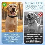 XJJAUGKLY GPS Tracker Katze, Wasserdicht Bluetooth Haustier Locator, GPS Tracker Für Hunde ohne ABO, mit verstellbarem Halsband, Kompatibel mit iOS und Android, für Kätzchen & Welpen - Schwarz