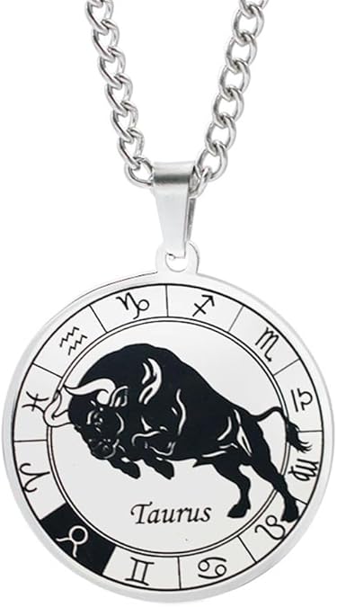 PAMTIER Women Men Stainless Steel Zodiac Constellation Pendant Necklace Round Disc Horoscope Sign Lucky Charm with Chain Birthday Gift