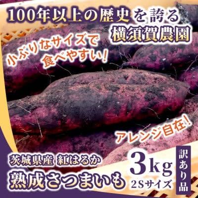 (訳あり)茨城県産 熟成さつまいも(生芋) 紅はるか 2Sサイズ 土付き3kg 家庭用 アレンジ◎