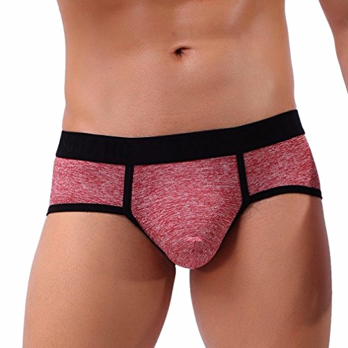 Pantalones Cortos Sexy Hombre Ropa Interior Boxeadores para Hombres Braguitas Cortos Lenceria Hombre Erotica Calzoncillos Boxers de Hombre (L, Rojo)