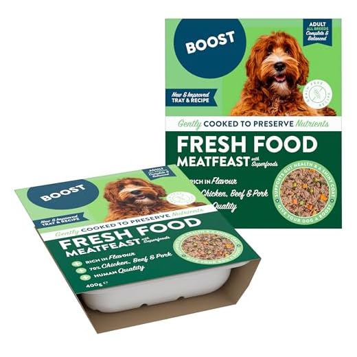 BOOST Pet Food Gourmet Meat Feast Meal