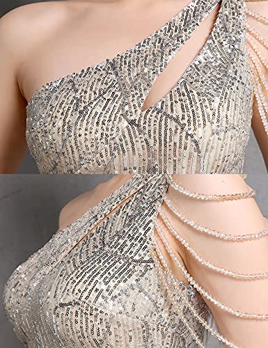 Image of Women One Shoulder 1920s Plus Size Formal Dress Tassels Sleeve Sequins Gatsby Maxi Evening Gown