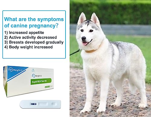 10 Pcs Dog Pregnancy Test Kit at Home, Rapid Relaxin Dog Pregnancy Test Canine Pregnant Test Strip Supplies Convenient Fast and Accurate Easy to Use Results for Breeders Home Vet Clinic Hospital 10 Pcs Dog Pregnancy Test Kit at Home, Rapid Relaxin Dog Pregnancy Test Canine Pregnant Test Strip Supplies Convenient Fast and Accurate Easy to Use Results for Breeders Home Vet Clinic Hospital