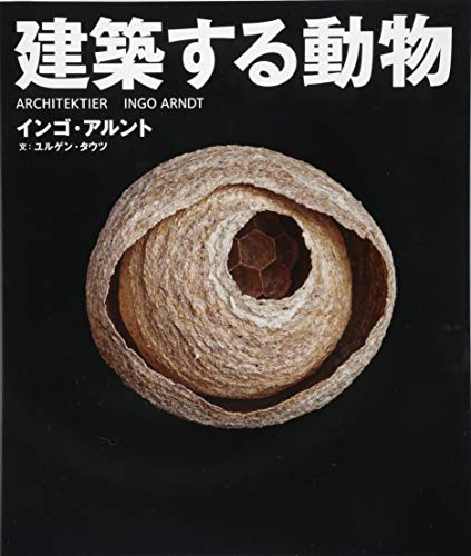楽天 無料電子書籍 建築する動物 (SPACE SHOWER BOOKs) バイ