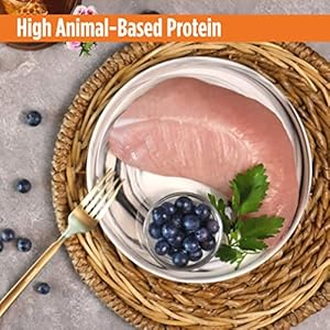 Nulo freestyle small breed adult wet canned dog food premium all natural grain free with omega 3  6 for a healthy coat and high animal based protein 24 pack   cucciolini doodles