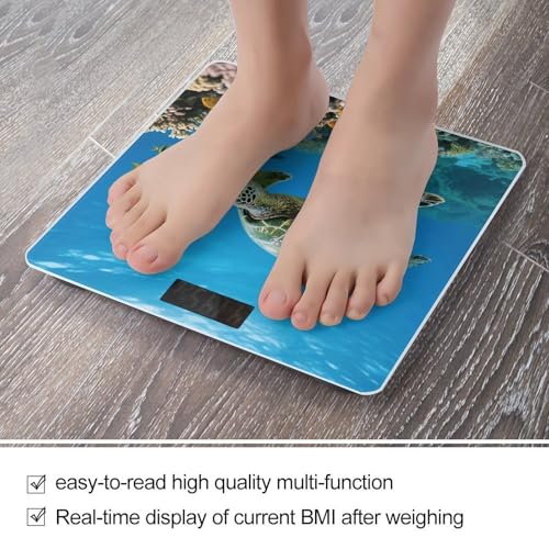 Báscula digital de baño con sensor 4, pantalla LED miniatura 5