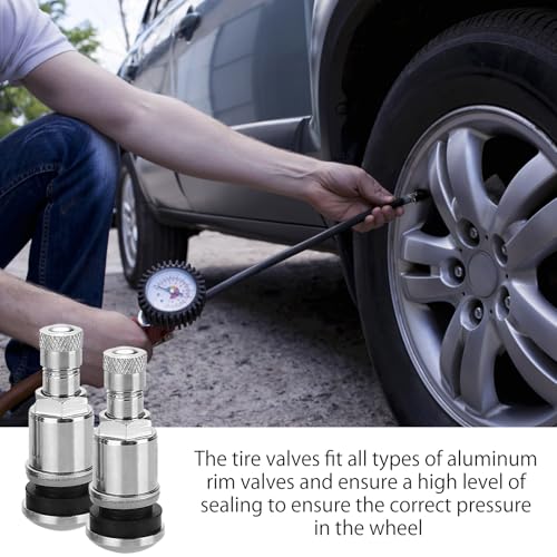 ZMDMAH 8pcs Autoventile, Silber Reifenventil, Metallventile für Alufelgen, Autoreifen Ventil Autoreifen, Ventileinsatz Auto Ventile, Reifen Ventile Reifenventile Pkw Universal Felgenventile 11,3 mm