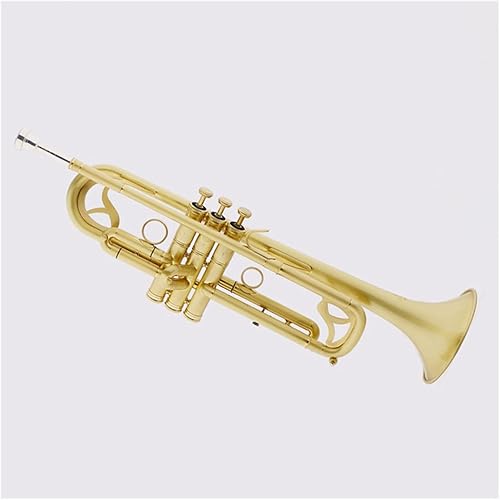 TSTS Professional B-Flat Trumpet Matte Lacquered Gold Brass Body Suitable for Professional Players Professional Trumpet