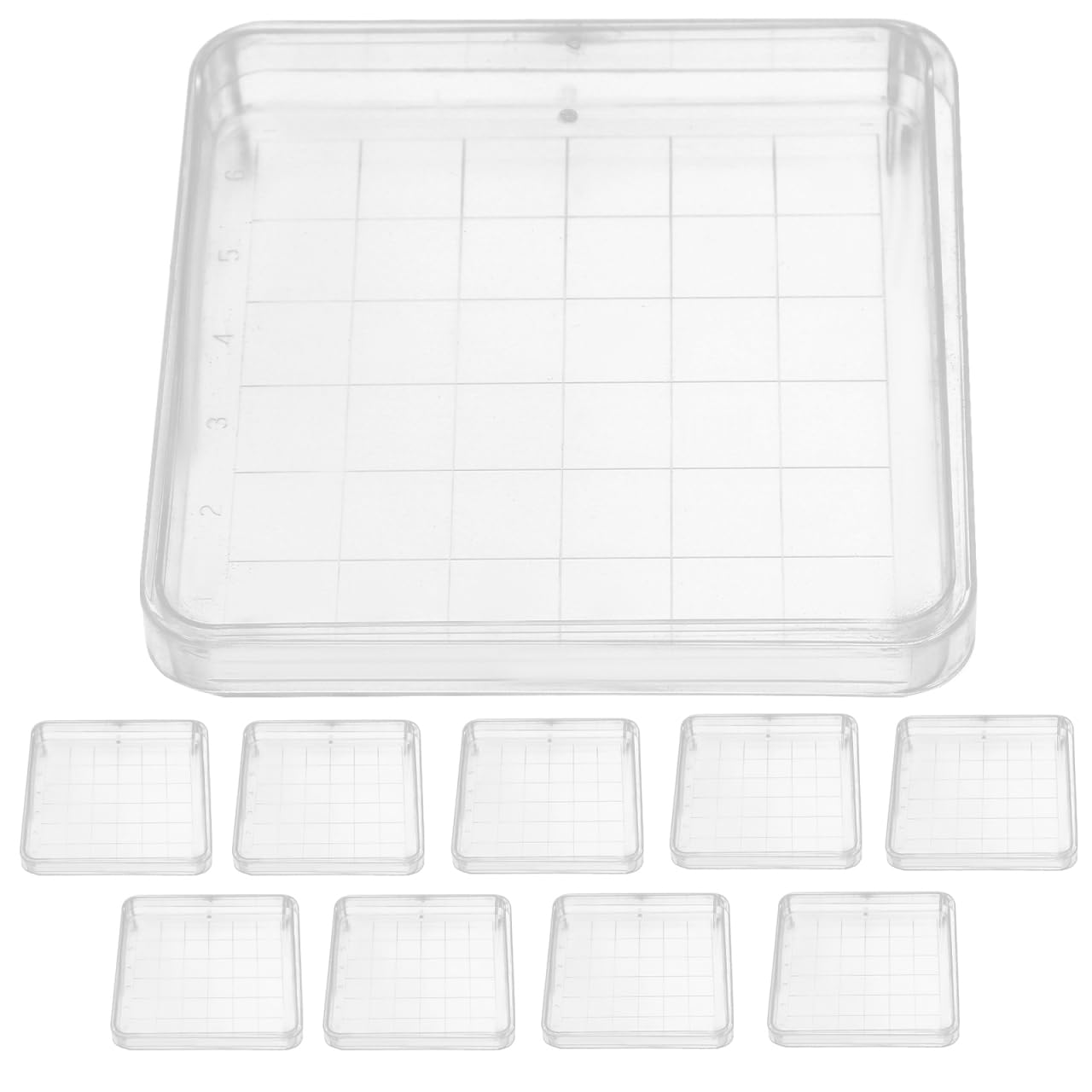 Cabilock Placas Petri Cuadradas 10x10cm con Tapa para Laboratorio Microbiología