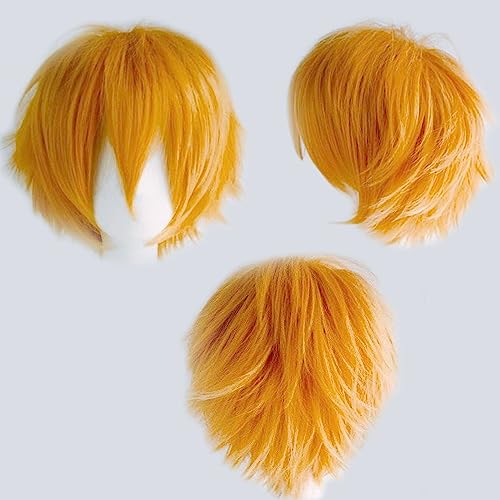 Gairyan Unisex Anime Cosplay Wigs - Orange Straight Fluffy Wigs for Women/Men - Costume Theme Party & Halloween