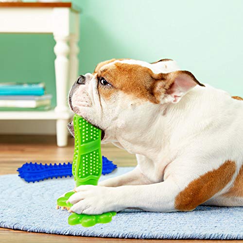 Dog Chew Toys for Puppies Teething, 14 Pack Dog Rope Toys Tug of War Dog Toy Bundle Toothbrush iq Treat Ball Squeaky Rubber Bone Durable Dog Chew Toys for Small Dogs Pet Toys Puppy Toys