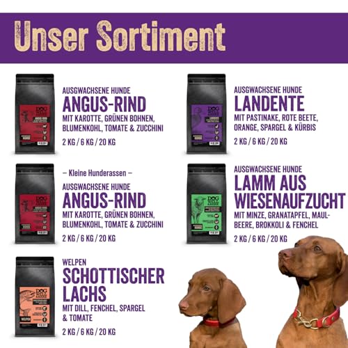 Premium Hundefutter trocken getreidefrei - Alleinfutter mit Landente 2 kg für ausgewachsene Hunde – Ente mit Pastinaken, rote Beete, Orange, Spargel & Kürbis
