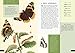 The Little Book of Butterflies: A Guide to Moths and Butterflies (Little Library of Natural History)