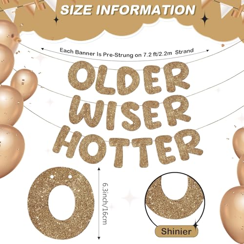 Image of Fulmoon Set of 3 Pre Strung Older Wiser Hotter Glitter Banner Funny Birthday Banner for Women 30th 40th 50th 60th 70th 80th Birthday Party Decorations Sign Gift(Dark Champagne)