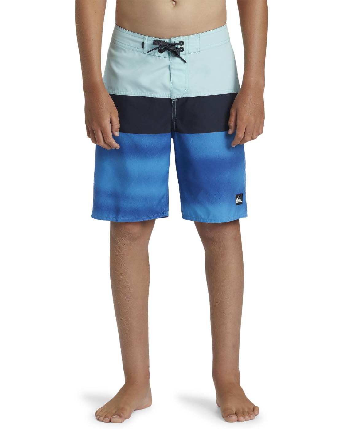 Quiksilver Everyday Panel - Boardshorts para Chicos 8-16